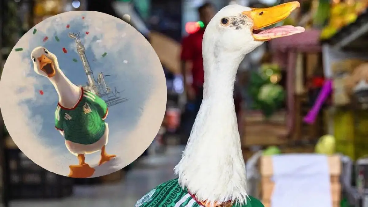 pato 03.webp